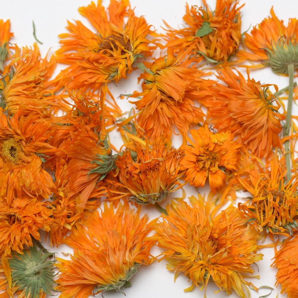  alahram-herbs: Calendula Flowers