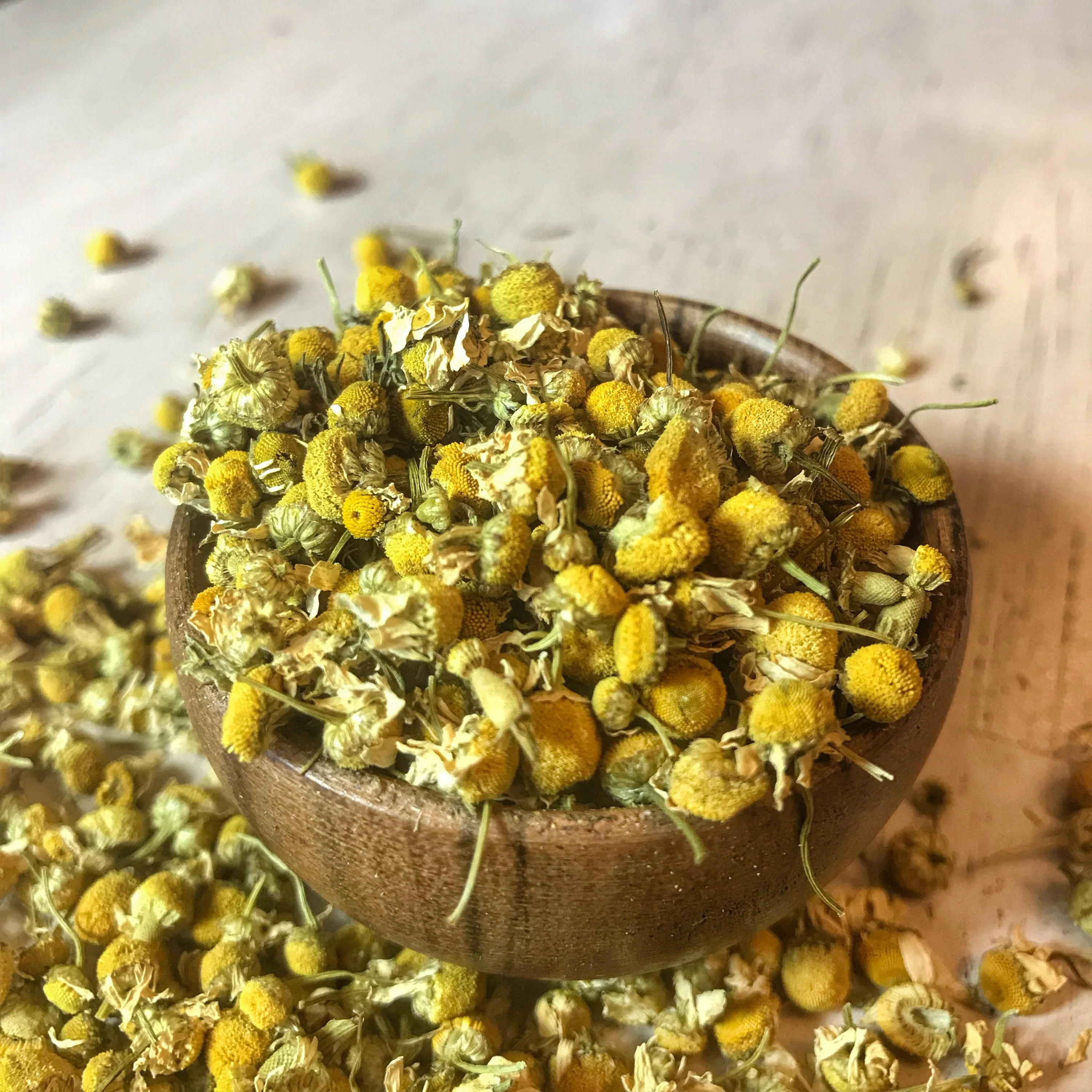  alahram-herbs: Chamomile