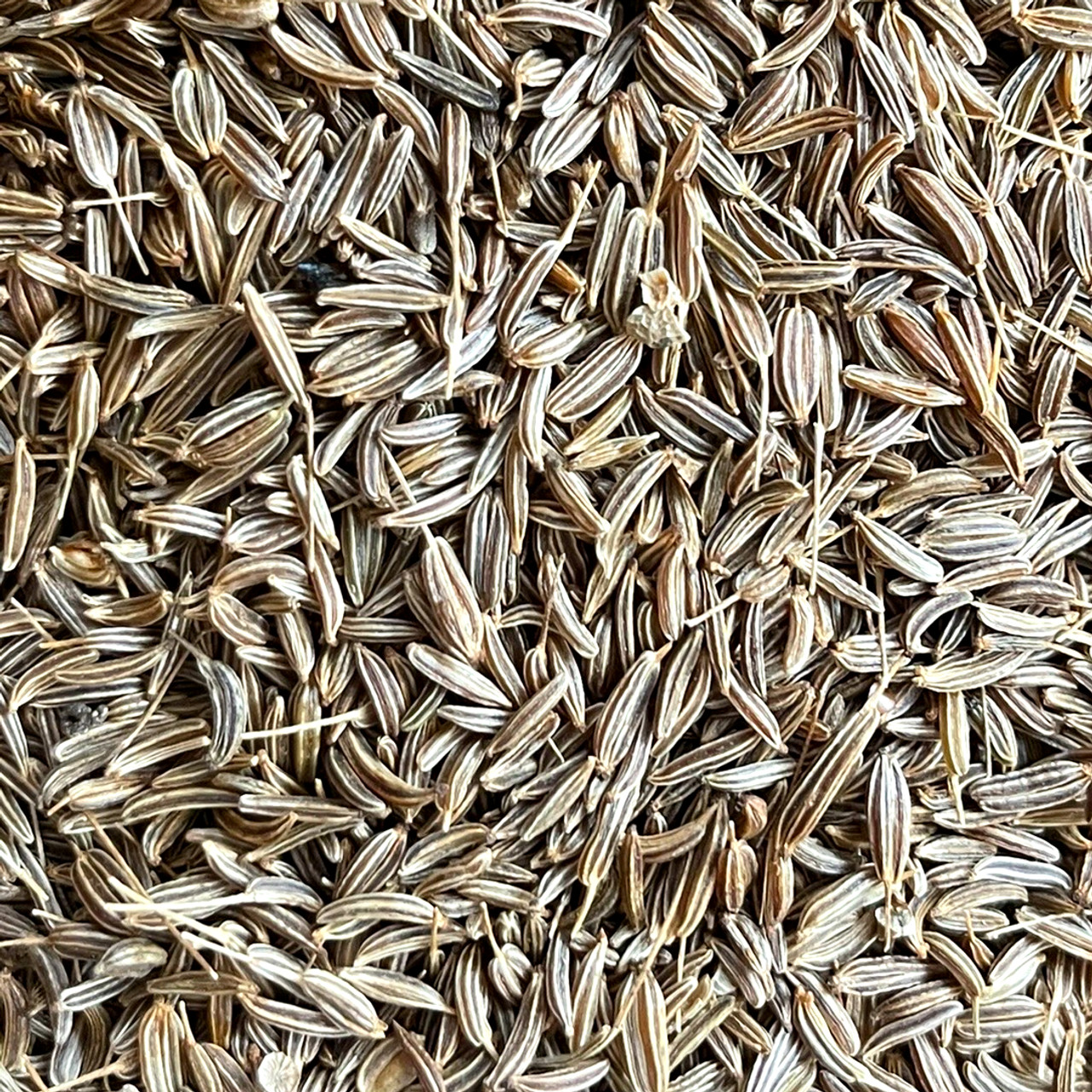  alahram-herbs: Caraway